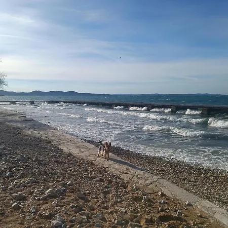 Daire Zadar Beach Apartments *